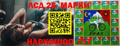 a pvp Моздок