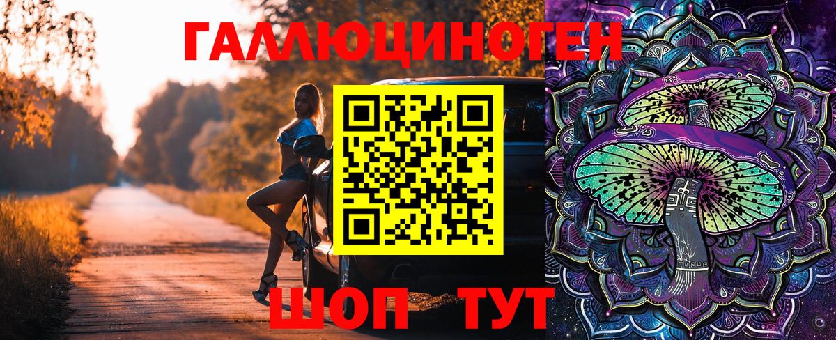 Томск  как найти   Вход с VPN  Галлюциногенные грибы Cubensis 